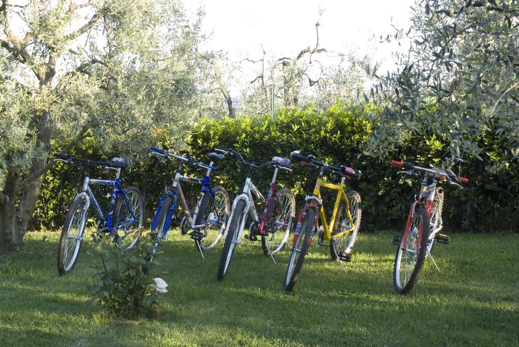 Agriturismo Macinatico Villa San Gimignano Exterior foto